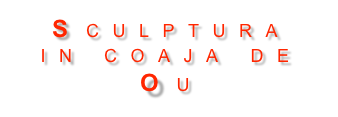 SCULPTURA  IN COAJA DE OU